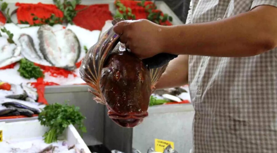 Çarşamba’da Av Yasağı Sona Erdi