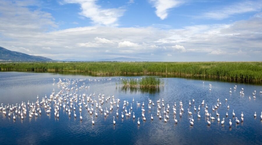 Valilik açıkladı: Eber Gölü’ne giriş ve çıkışlar yasaklandı!
