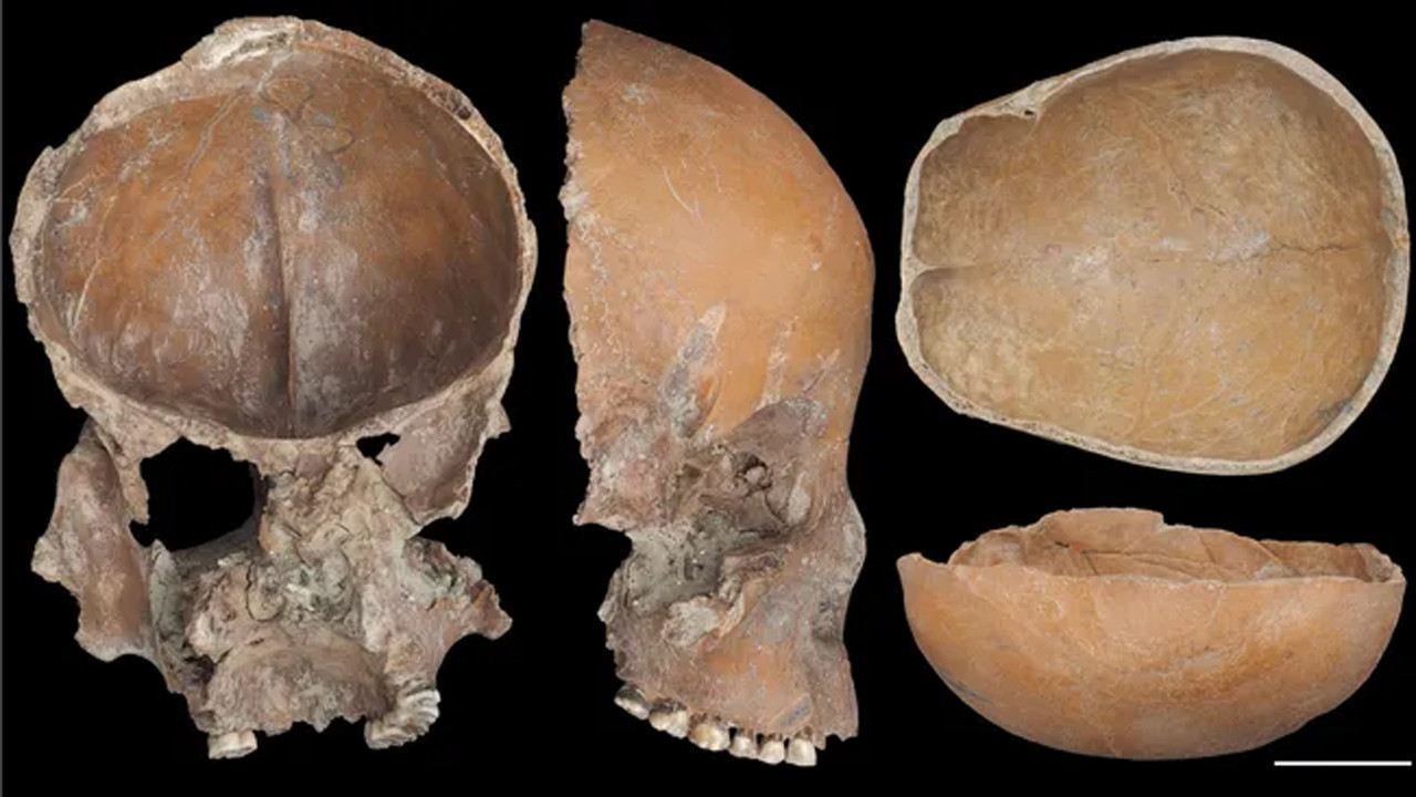 5000 yillik korkunc gizem insan kafataslarindan yapilmis kaplar ne anlama geliyor QuOqN1Ui.jpg