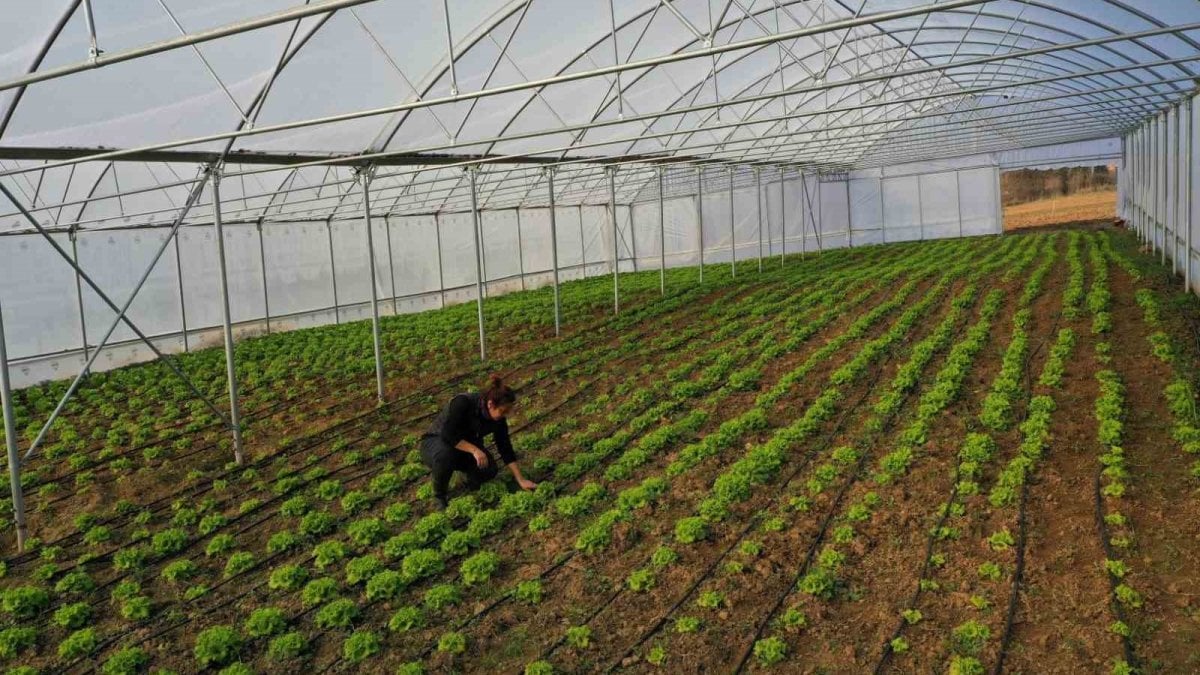 ciftcilere yuzde 50 hibe destegi 2UVhzVWD