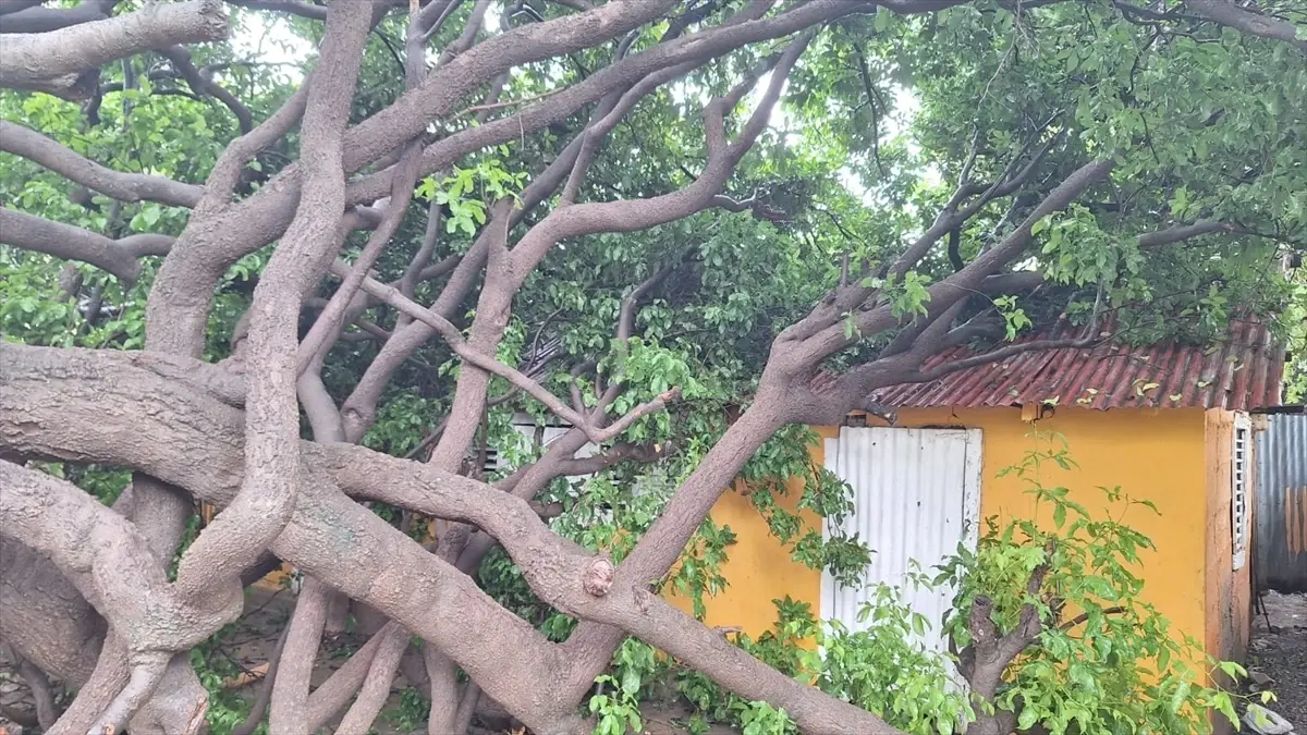 melissa kasirgasi jamaikayi vurdu fPN6aSaJ.jpg