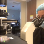 atlas-featured-11356-1775646851-vppev7